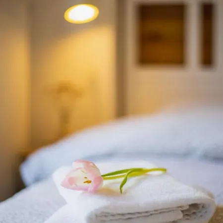 Hory - V Srdci Tatier